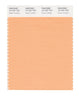 Pantone SMART Color Swatch 14-1231 TCX Peach Cobbler