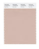Pantone SMART Color Swatch 14-1307 TCX Rose Dust