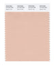 Pantone SMART Color Swatch 14-1314 TCX Spanish Villa