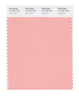 Pantone SMART Color Swatch 14-1324 TCX Peach Bud