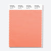 Pantone Polyester Swatch Card 14-1325 TSX Peach Pie
