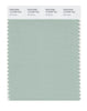 Pantone SMART Color Swatch 14-5706 TCX Silt Green