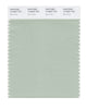 Pantone SMART Color Swatch 14-6007 TCX Sea Foam