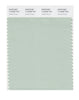 Pantone SMART Color Swatch 14-6008 TCX Subtle Green