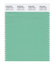 Pantone SMART Color Swatch 14-6017 TCX Neptune Green