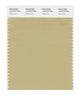 Pantone SMART Color Swatch 15-0719 TCX Silver Fern
