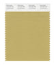 Pantone SMART Color Swatch 15-0730 TCX Southern Moss