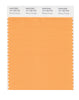 Pantone SMART Color Swatch 15-1160 TCX Blazing Orange
