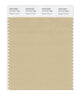 Pantone SMART Color Swatch 15-1217 TCX Mojave Desert