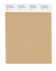 Pantone SMART Color Swatch 15-1225 TCX Sand