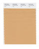 Pantone SMART Color Swatch 15-1231 TCX Clay