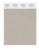 Pantone SMART Color Swatch 15-1305 TCX Feather Gray
