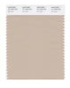 Pantone SMART Color Swatch 15-1309 TCX Moonlight