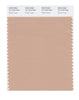 Pantone SMART Color Swatch 15-1316 TCX Maple Sugar