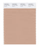 Pantone SMART Color Swatch 15-1317 TCX Sirocco