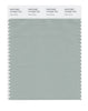 Pantone SMART Color Swatch 15-5205 TCX Aqua Gray