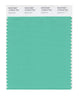 Pantone SMART Color Swatch 15-5819 TCX Spearmint