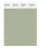 Pantone SMART Color Swatch 15-6310 TCX Swamp