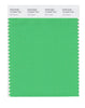 Pantone SMART Color Swatch 15-6340 TCX Irish Green