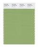 Pantone SMART Color Swatch 15-6428 TCX Green Tea