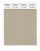 Pantone SMART Color Swatch 15-1307 TCX White Pepper