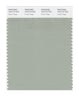 Pantone SMART Color Swatch 16-0110 TCX Desert Sage