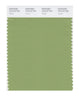 Pantone SMART Color Swatch 16-0123 TCX Tendril