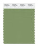 Pantone SMART Color Swatch 16-0228 TCX Jade Green