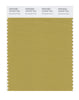 Pantone SMART Color Swatch 16-0737 TCX Burnished Gold