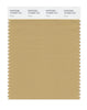 Pantone SMART Color Swatch 16-0928 TCX Curry