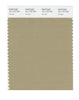 Pantone SMART Color Swatch 16-1118 TCX Sponge