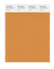 Pantone SMART Color Swatch 16-1150 TCX Topaz