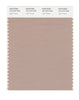 Pantone SMART Color Swatch 16-1210 TCX Light Taupe