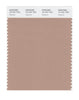 Pantone SMART Color Swatch 16-1221 TCX Roebuck