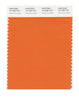 Pantone SMART Color Swatch 16-1260 TCX Harvest Pumpkin