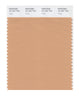 Pantone SMART Color Swatch 16-1331 TCX Toast