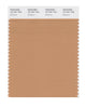 Pantone SMART Color Swatch 16-1341 TCX Butterum