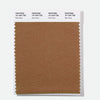 Pantone Polyester Swatch Card 16-1404 TSX River Rock