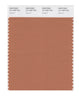 Pantone SMART Color Swatch 16-1429 TCX Sunburn