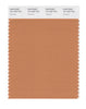 Pantone SMART Color Swatch 16-1439 TCX Caramel