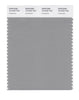 Pantone SMART Color Swatch 16-4702 TCX Limestone