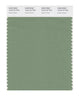 Pantone SMART Color Swatch 16-6116 TCX Shale Green