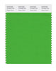 Pantone SMART Color Swatch 16-6340 TCX Classic Green