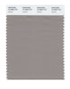 Pantone SMART Color Swatch 16-3800 TCX Satellite