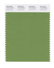 Pantone SMART Color Swatch 17-0133 TCX Fluorite Green