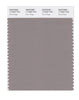 Pantone SMART Color Swatch 17-0207 TCX Rock Ridge