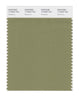 Pantone SMART Color Swatch 17-0525 TCX Mosstone