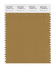 Pantone SMART Color Swatch 17-0942 TCX Medal Bronze