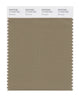 Pantone SMART Color Swatch 17-1019 TCX Elmwood