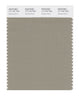 Pantone SMART Color Swatch 17-1107 TCX Seneca Rock